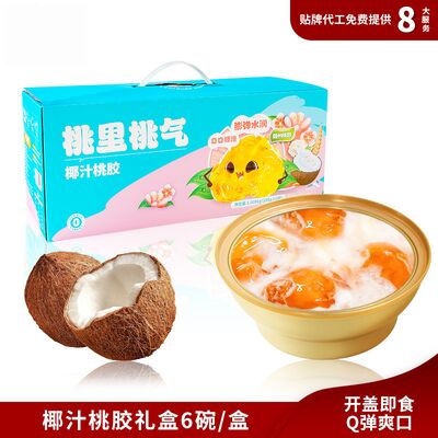 kaufen Portable Kokoswasser Pfirsich Kaugummi Schnee Pilz Dessert Geschenkbox Online-Herstellung