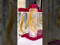 Instant-Vogelnest-Trank